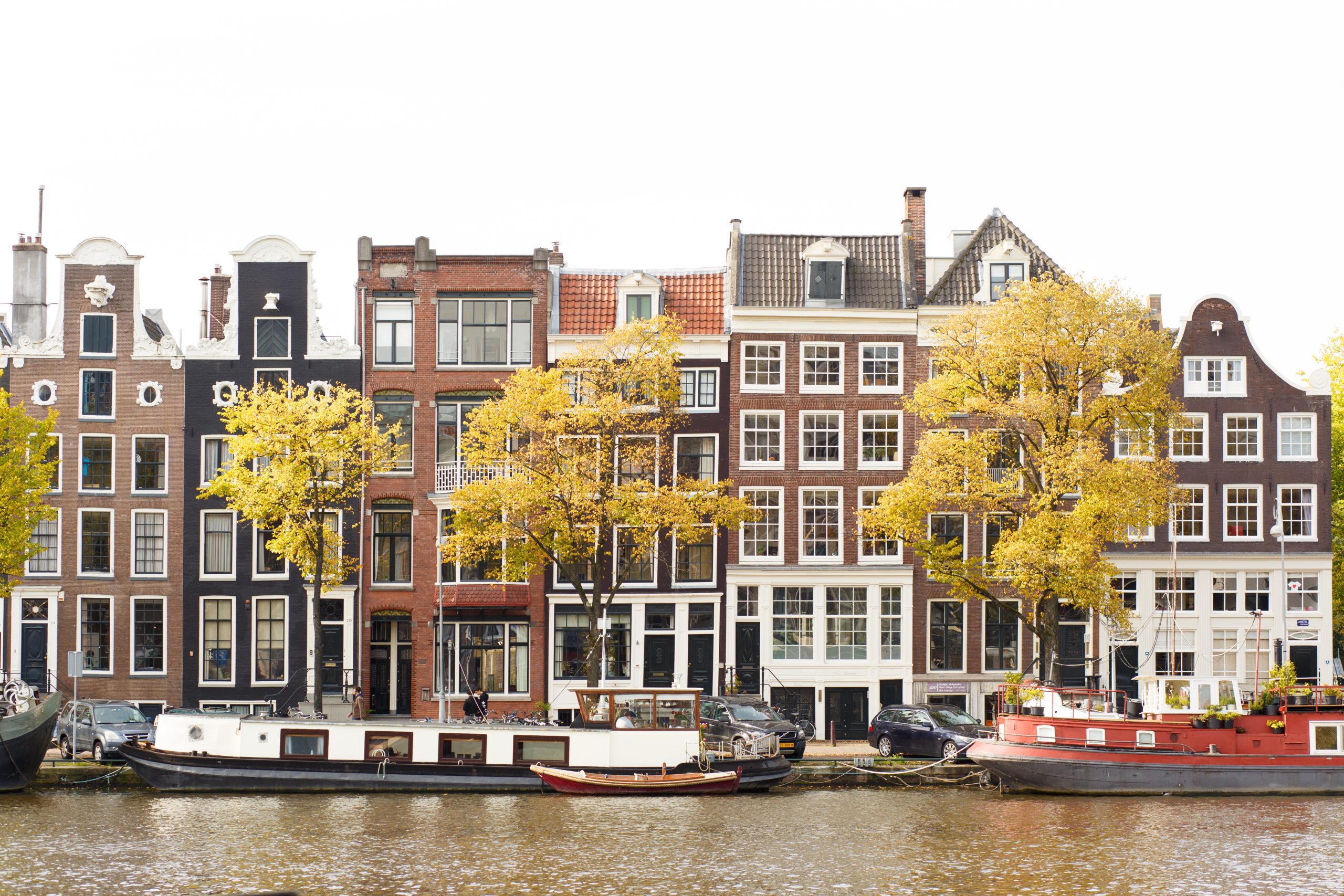 Urban Homies Amsterdam